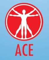 Celestial Sequined Mesh Panel Gown